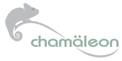 Chamäleon - Sales and City Recruitment
